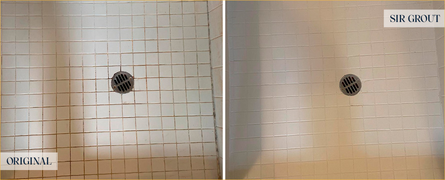 Shower Floor Before and After a Superb Grout Cleaning in Leesburg, FL