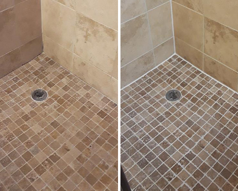 Shower Before and After a Grout Sealing in Leesburg, FL