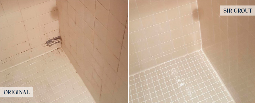 Shower Before and After a Remarkable Grout Sealing in Leesburg, FL